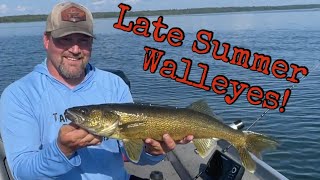 Lake Winnie Walleyes  THE MOVIE  Dispersed Camping  Bear Visit  Hot Night Bite [upl. by Hairym]