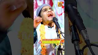 Hamza Ayaz bijnori trending viral viral shayari [upl. by Ecirtac268]