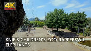 Knies Childrens Zoo Rapperswil Switzerland elephants [upl. by Htir781]