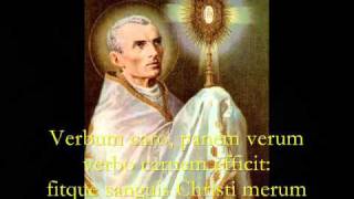 Pange Lingua Gloriosi  Catholic Hymns Gregorian Chant [upl. by Murat597]