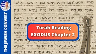 Exodus Chapter 2  Torah Reading in Hebrew with English Translation  TORAH STUDY [upl. by Etezzil]