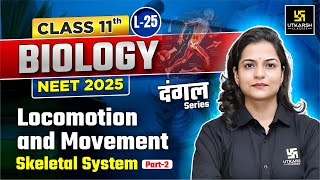 Class 11 Biology  Locomotion and Movement  Skeletal System P2 NEET 2025  L25  Dr Ronak Maam [upl. by Aivartal614]