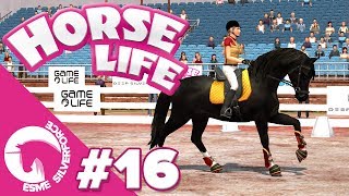 Tävling Nya Resor OCH Ny Häst 🐴  Horse Life 2 16 [upl. by Augusto252]