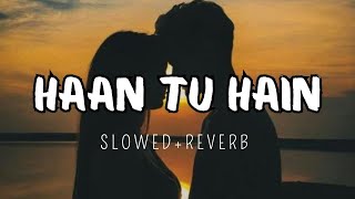 Haan Tu Hain  SlowedReverb   Kk Pritam  Jannat  slowedreverblofimusic [upl. by Roseann123]