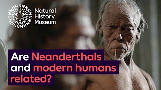 Are Neanderthals and modern humans related [upl. by Culbert]