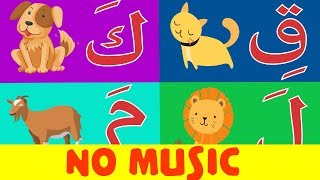 Arabic alphabet song no music 10  Chanson Alphabet arabe sans musique 10  10 أنشودة الحروف العربية [upl. by Ellehcyar881]