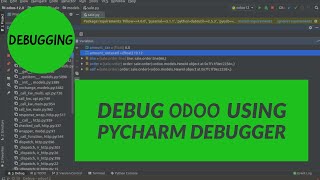 How To Debug Odoo Using Pycharm Debugger [upl. by Aronow197]