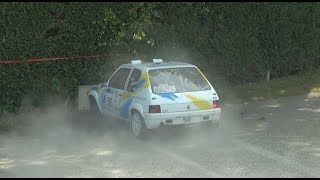 Rallye du Chasselas 2018  Show [upl. by Dahle254]