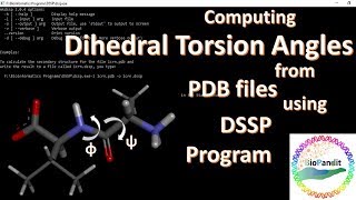 Computing dihedral torsion angles from PDB files using DSSP [upl. by Meehyr]