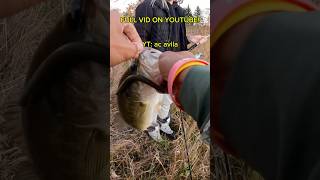 HE HAD A MUSKY ON… FULL VID LINKED BELOW musky chicago illinoisfishing illinois fishing [upl. by Manoff636]