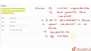 In an ascus of ascomycetes number and arrangement of ascospores are  12  KINGDOM FUNGIMULTIC [upl. by Sanyu]