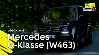 Steckbrief Mercedes GKlasse W463 [upl. by Ibrahim]