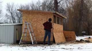 How to build a Pigeon Loft  pigeon coop [upl. by Oahc898]