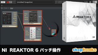 Native Instruments Reaktor 6の使い方①「BLOCKS」を使用したパッチ操作（Sleepfreaks DTMスクール） [upl. by Htnnek]