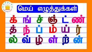 மெய் எழுத்துக்கள்Mei Eluthukkal Tamil Letters Tamilarasi [upl. by Rochkind]