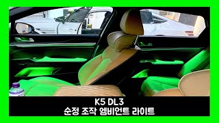 k5 dl3 설레는 실내 조명 연출 엠비언트 라이트로 실내 완성 [upl. by Annaer]