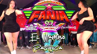 ESTRENO 2024 EL MAMBO PACHUCA SONIDO FANIA 97 LOS REYES TLANECHICOLPAN 2024 [upl. by Sergias]