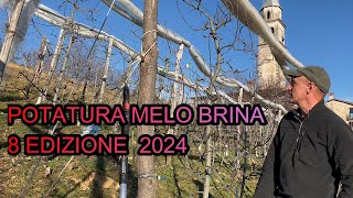 POTATURA MELO BRINA 2024 [upl. by Eoj]