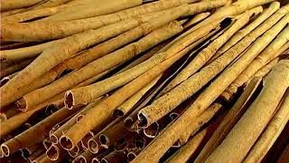 Ceylon Cinnamon helps with Diabetes  Say Goodbye to Metformin [upl. by Wiltshire198]