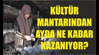 Kültür Mantarı Yetiştiriciliğinden Ayda Ne Kadar Kazanırsın [upl. by Octavian]