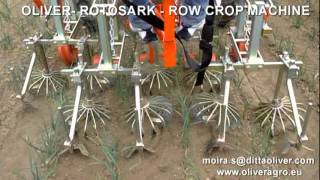 ROTOSARK WEEDING MACHINE BINEUSE ROW CROP HACKMASCHINE [upl. by Otrebogir]