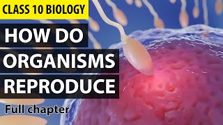 How Do Organisms Reproduce Class 10 Full Chapter Animation  Class 10 Science Chapter 8  NCERT [upl. by Steck455]