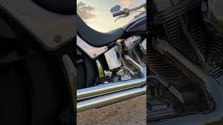 06 softail standard harleydavidson harley softail softailstandard motorcycle [upl. by Assirim]