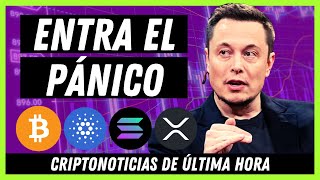 🚨 Noticias Criptomonedas HOY 👉¿Pánico Real  Bitcoin  Ripple  Cardano  DOGE  Mana  WX  SOL [upl. by Corny]