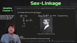 Thomas Hunt Morgan and SexLinked Genes  Genetics Ep 11 [upl. by Niwrek868]