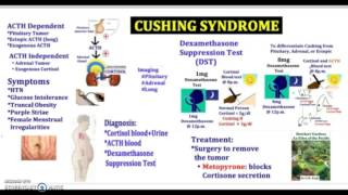 3 Minutes Cushing Syndrome Causes Symptoms Diagnosis Treatment Pathology USMLE NCLEX MCAT [upl. by Jolenta]