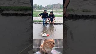 what a nice friend 😇😂cat funny explore memes bombastic viralvideo shorts [upl. by Atsirtal387]