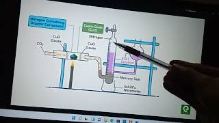 Dumas method estimation of nitrogen [upl. by Raphaela]