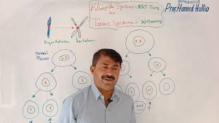 Klinefelters Syndrome  Turners Syndrome  Genetic Disorder  Meiotic Errors  nondisjunction [upl. by Bogosian35]