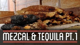 Mezcal and Tequila 13  How to Brew Everything [upl. by Ennavoj]