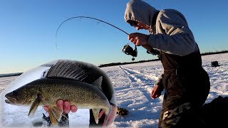 CRUSHING WALLEYE THROUGH THE ICE  Easy Technique That WORKS [upl. by Lonni]