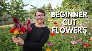 Cut Flower Garden for Beginners  From Seed to Bouquet [upl. by Annawoj271]