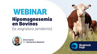 Hipomagnesemia en Bovinos la asignatura pendiente  Dr Mattioli  Webinar  Biogénesis Bagó [upl. by Ahsenal]