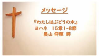 ヨハネ１５：１ー８「わたしはぶどうの木」2024年9月8日 [upl. by Annahsor]