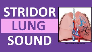 Stridor Sound Breathing Sounds Abnormal Lung Sounds [upl. by Eihctir]