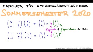 Eigenwerte und Eigenvektoren 1 [upl. by Anidem164]