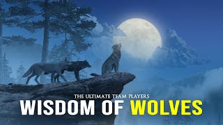 Wisdom Of The Wolves  Best Motivational Video [upl. by Sheila509]