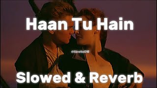 Haan Tu Hain  Slowed And Reverb  KKPritam  Jannat  Libretto018 [upl. by Ellehcyar]