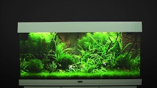 Aquarium einrichten JUWEL Rio 180  Tutorial [upl. by Verda]