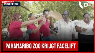 🚀 De Nieuwe Politiek Live Overdracht facelift Paramaribo Zoo Suriname [upl. by Nashbar]