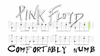 Pink Floyd  Comfortably Numb 🔴 Drum Notation  Tutorial chamisdrums Bass Tabs on ChamisBass [upl. by Ecirtaemed]