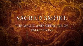 Sacred Smoke The Magic Medicine of Palo Santo [upl. by Bricker]