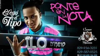 Wilo D New  Tu Ta En La Nota [upl. by Assirehs]