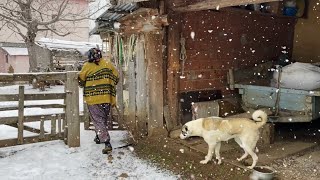 En Soğuk Dağ Köyünde Yaşam Türkiyede Kışın Köy Hayatı [upl. by Ynnaej76]