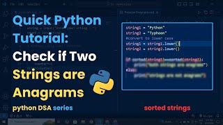 Check if Two Strings are Anagrams in Python  StepbyStep Guide [upl. by Savihc]