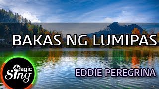 MAGICSING Karaoke EDDIE PEREGRINA  BAKAS NG LUMIPAS karaoke  Tagalog [upl. by Haggi]